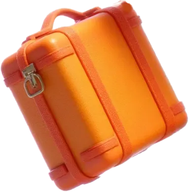 Suitcase Mascota-Kruger-Tech