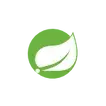 Spring Framework Logo